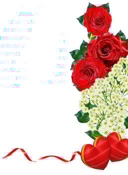 red roses isolated on white background photo