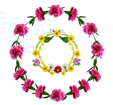 frame of flowers photo