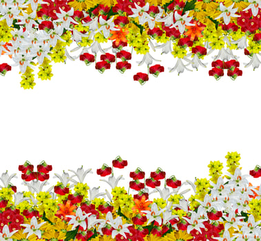 flowers isolated on white background photo