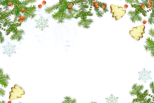 Christmas composition. Green spruce decorated with berries of mountain ash and cookies photo