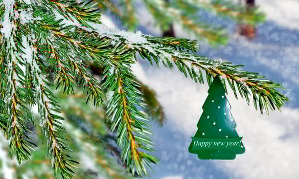 winter landscape and Christmas tree photo