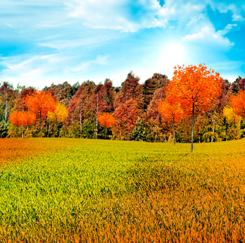 autumn landscape. Nature. photo
