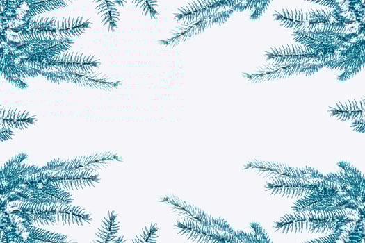 forest in the frost. Winter landscape. Snow covered trees. photo