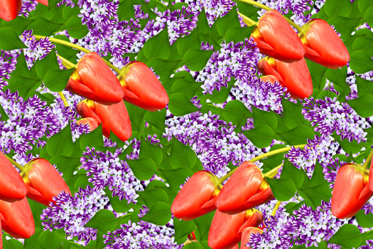 Bunches of flowers of lilac photo