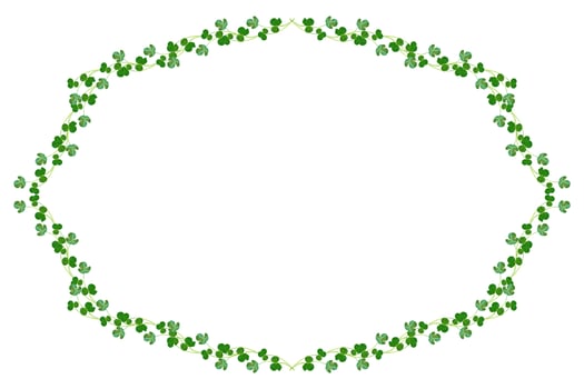 green clover leaves isolated on white background. St.Patrick 's Day photo