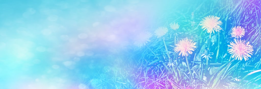 Fluffy dandelion flower against the background of the summer landscape. photo