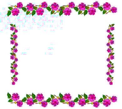 Petunias isolated on a white background. Colorful flowers. photo