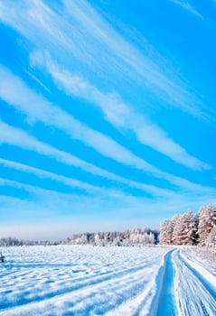 forest in the frost. Winter landscape. Snow covered trees. photo