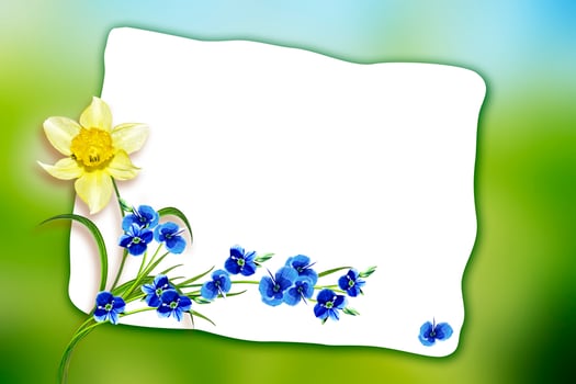 Holiday Spring card. Floral background. Bright colorful flowers. photo