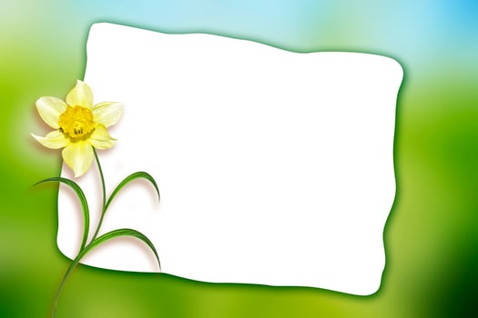 Holiday Spring card. Floral background. Bright colorful flowers. photo