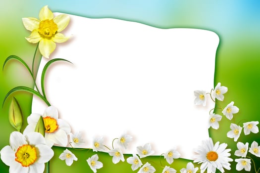 Holiday Spring card. Floral background. Bright colorful flowers. photo