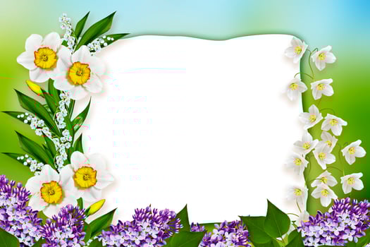 Holiday Spring card. Floral background. Bright colorful flowers. photo