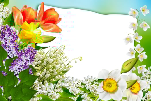 Holiday Spring card. Floral background. Bright colorful flowers. photo