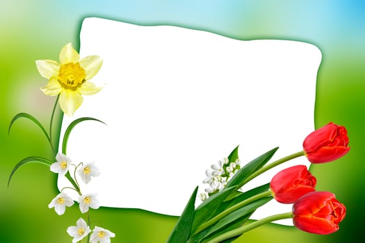 Holiday Spring card. Floral background. Bright colorful flowers. photo