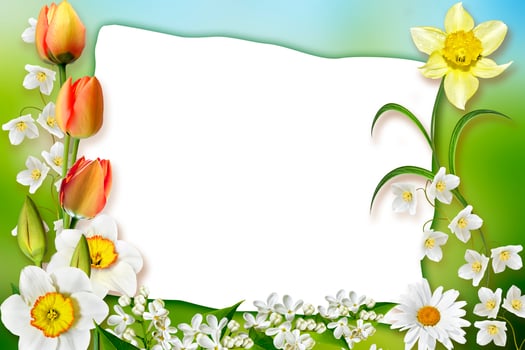 Holiday Spring card. Floral background. Bright colorful flowers. photo