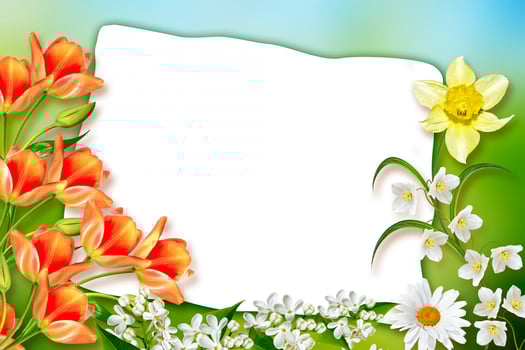 Holiday Spring card. Floral background. Bright colorful flowers. photo