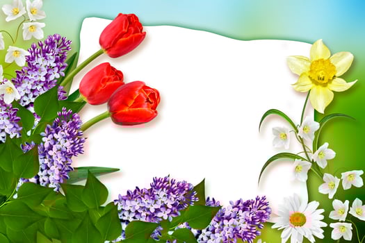 Holiday Spring card. Floral background. Bright colorful flowers. photo