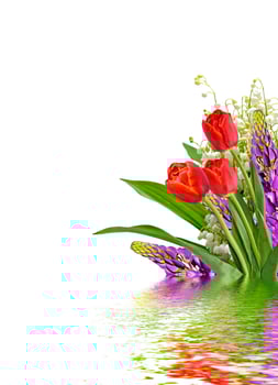 The branch of lilies of the valley flowers isolated on white background photo
