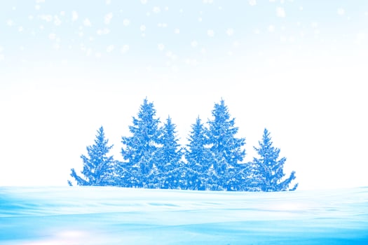 forest in the frost. Winter landscape. Snow covered trees. photo