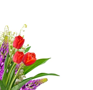 The branch of lilies of the valley flowers isolated on white background photo