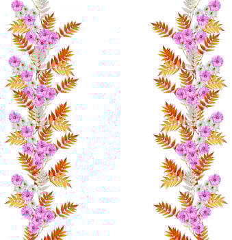 Autumn beautiful colorful morning glory flowers isolated on white background photo