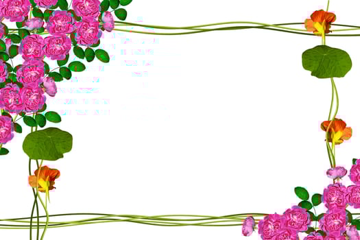 The buds of flowers roses. Holiday card photo