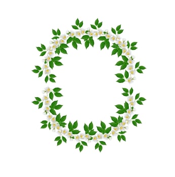 White jasmine flower. photo