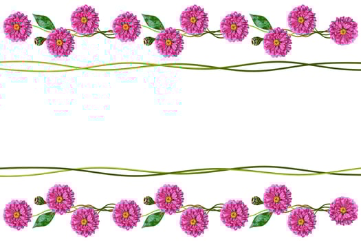 Autumn flowers zinnias isolated on white background photo