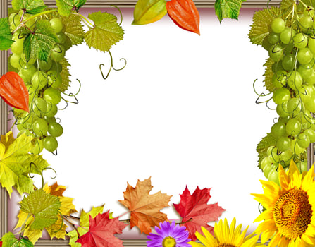 Frame of flowers and foliage photo