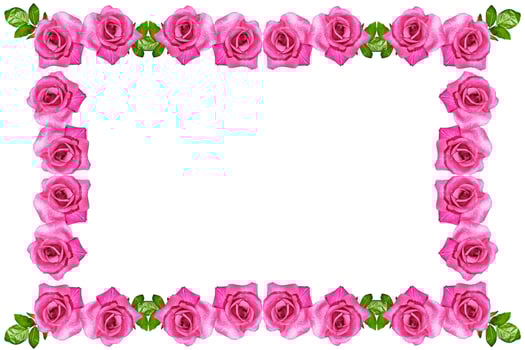 The buds of flowers roses. Holiday card photo