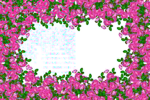 The buds of flowers roses. Holiday card photo