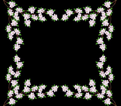 Flowering branch of apple photo