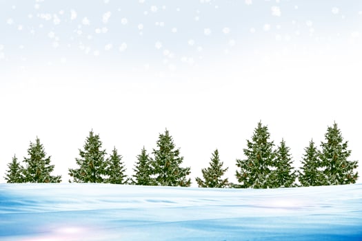 forest in the frost. Winter landscape. Snow covered trees. photo