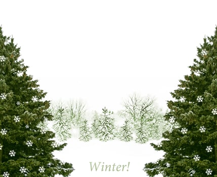 forest in the frost. Winter landscape. Snow covered trees photo