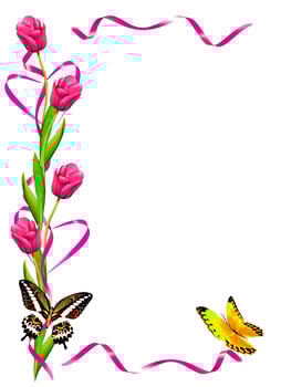 spring flowers tulips isolated on white background photo