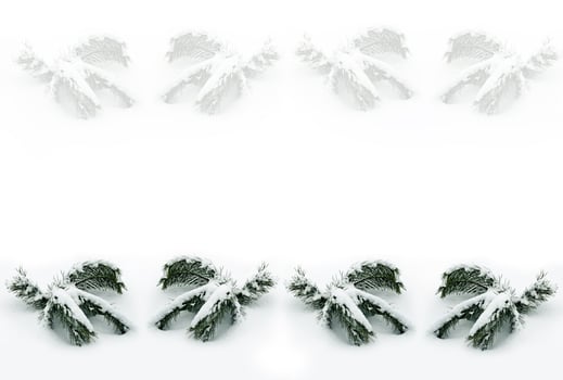 forest in the frost. Winter landscape. Snow covered trees photo