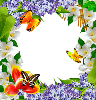 Frame of beautiful spring flowers isolated on white background photo