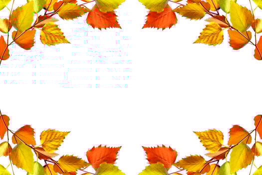 abstract background of autumn leaves photo