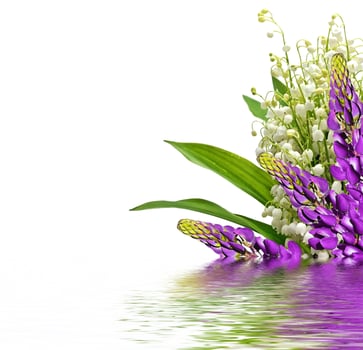 The branch of lilies of the valley flowers isolated on white background photo