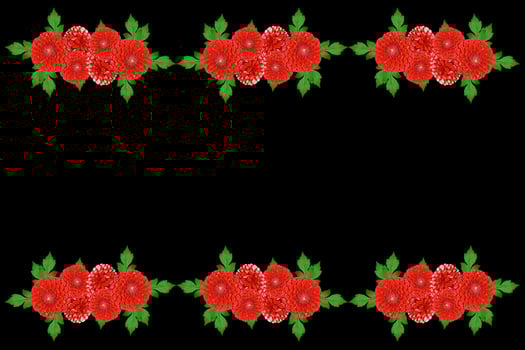 Bouquet of flowers dahlias. Flowers isolated on black background. photo