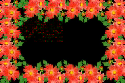 Bouquet of flowers dahlias. Flowers isolated on black background. photo