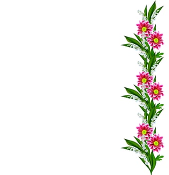 Autumn beautiful colorful chrysanthemum flowers isolated on white background photo