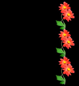 Flowers isolated on black background. photo
