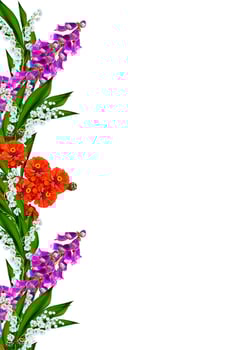spring flowers isolated on white background photo