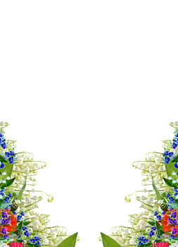 Beautiful flowers isolated on white background. Floral background. photo