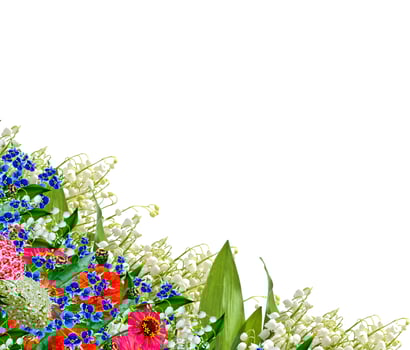 Beautiful flowers isolated on white background. Floral background. photo