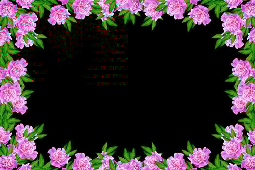 Colorful bright flowers peonies isolated on black background. photo