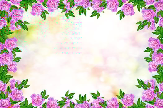Bright colorful flowers peonies photo