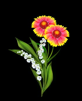 Bouquet of colorful flowers of Gaillardia. delicate flowers isolated on black background photo