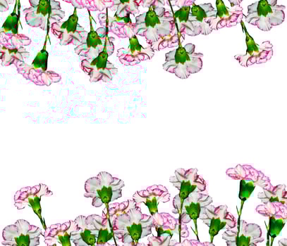 Bouquet of flowers carnation. photo